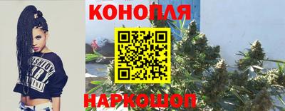марихуана Кингисепп